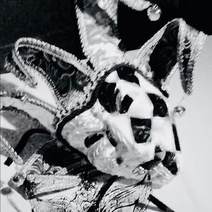 Meet your Posher, Andrew